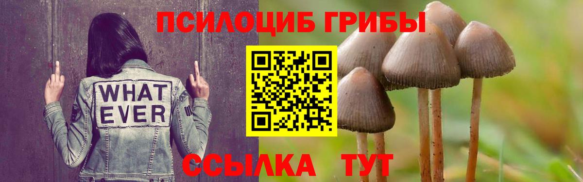 Псилоцибиновые грибы Magic Shrooms Губкин